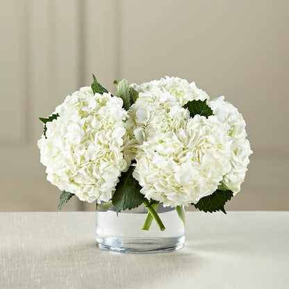 White Hydrangea Bouquet –  A Floral Gallery, Clayton MO