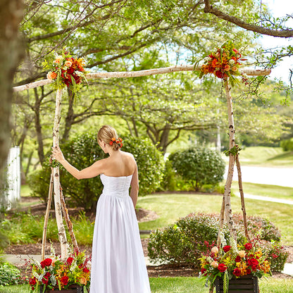 Arbor of Love Archway –  A Floral Gallery, Clayton MO