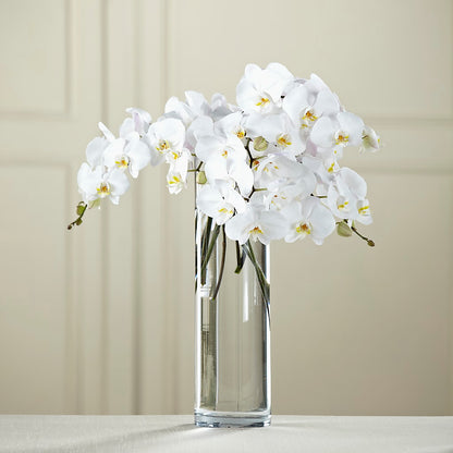 White Phalaenopsis Bouquet –  A Floral Gallery, Clayton MO